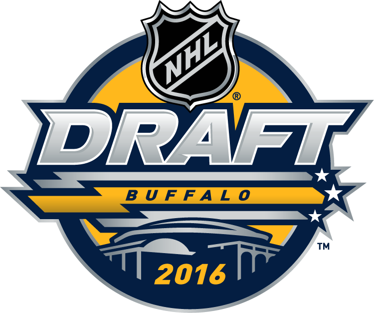 NHL Draft 2016 Primary Logo iron on transfers for T-shirts